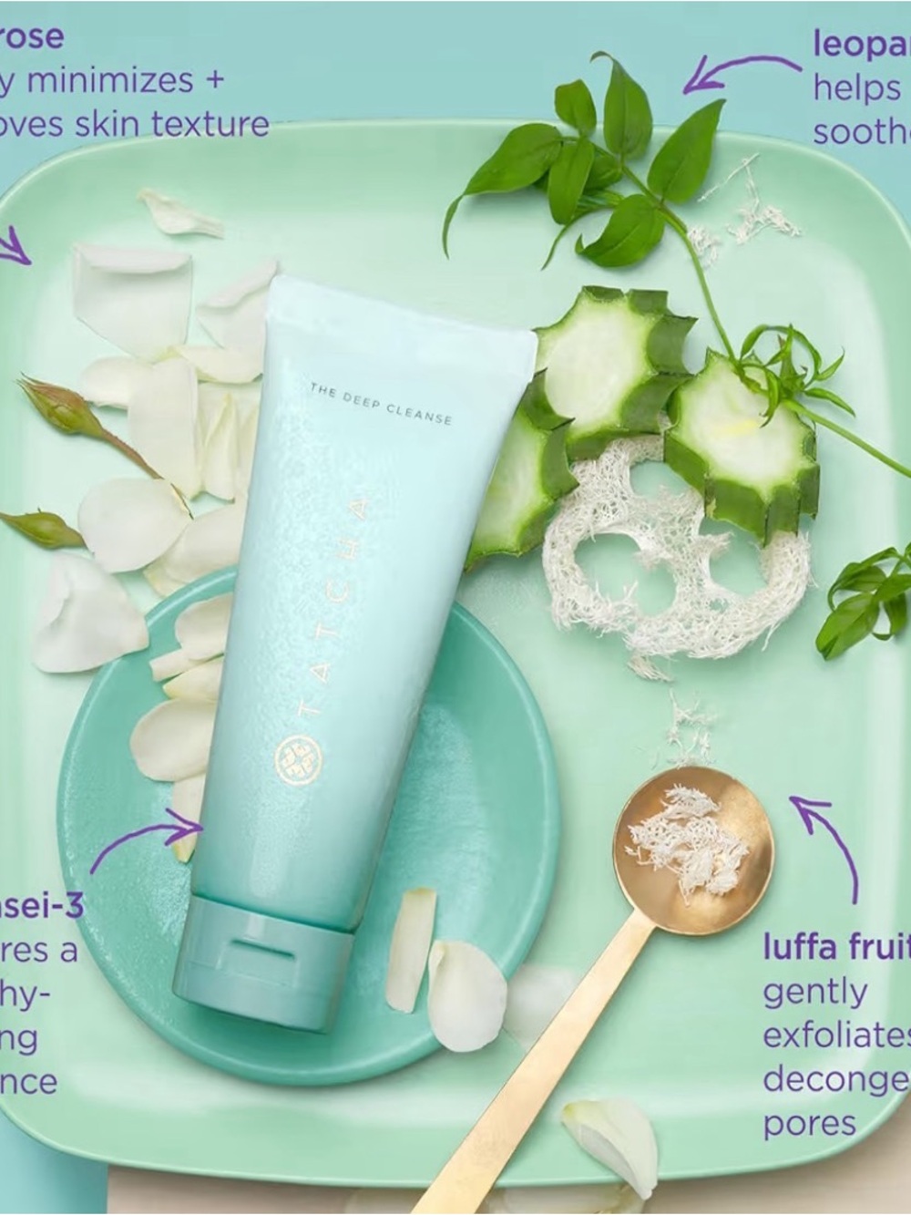 TATCHA The Deep Cleanse Exfoliating Face Wash Minimizes Oil & Pores - Picture 6 of 6